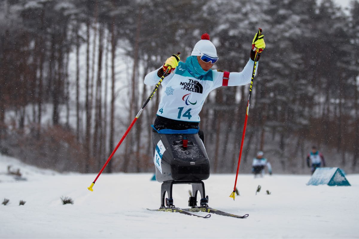 International Paralympic Committee poster