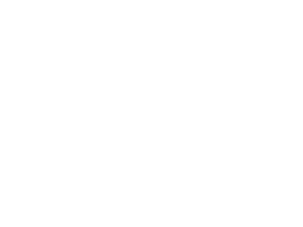 International Paralympic Committee