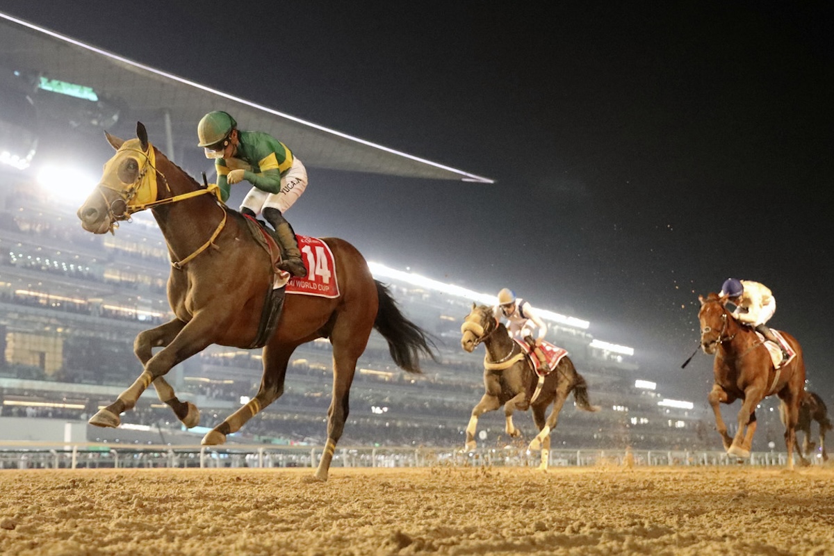 Dubai World Cup poster