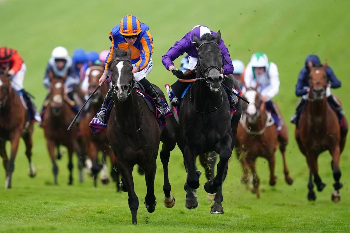 Irish Champions Stakes poster