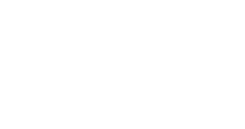 Pure Action logo