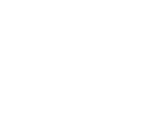 Constrained Image