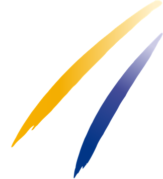 International Ski and Snowboard Federation