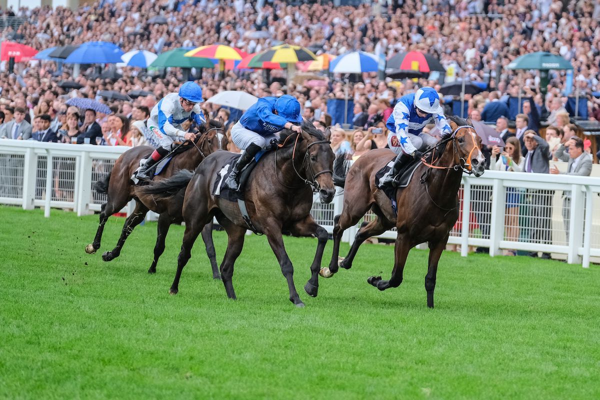 King George & Queen Elizabeth Stakes poster