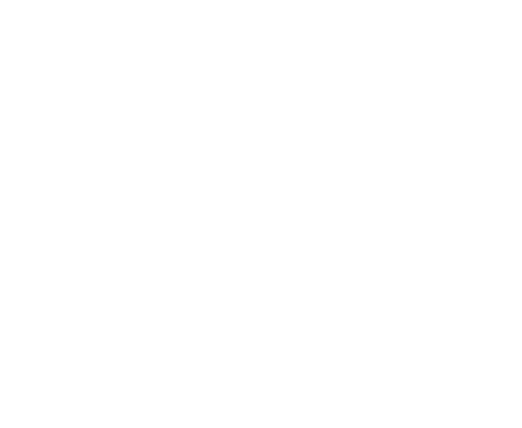Die Finals