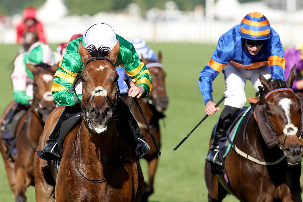 Epsom Derby 2025 poster