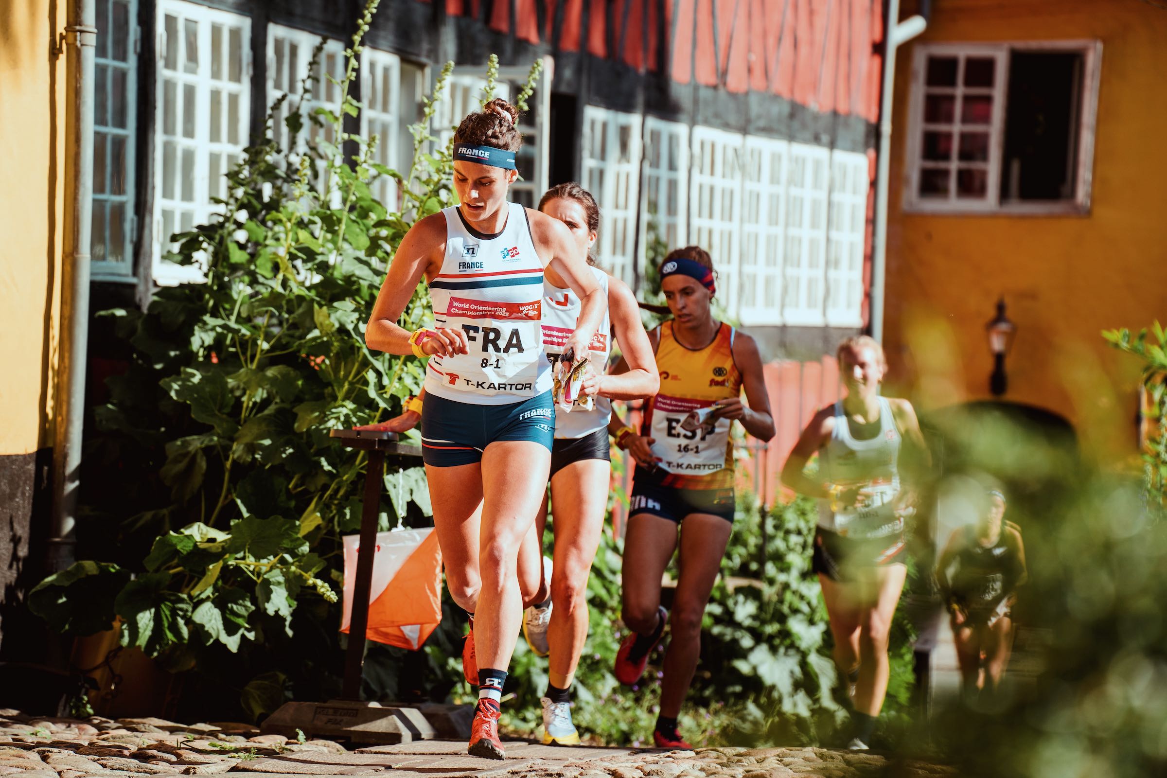 International Orienteering Federation poster