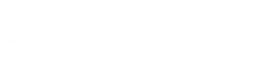 Aerobic World Championships logo