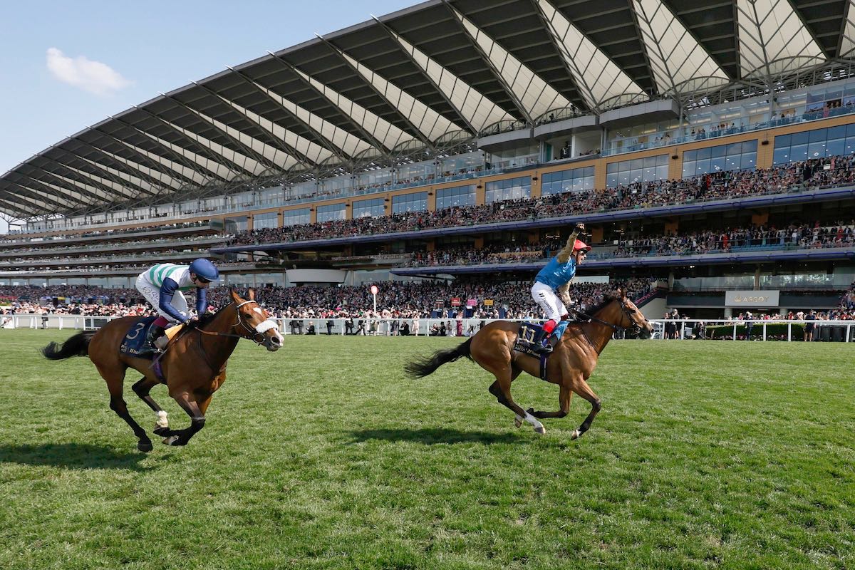 Royal Ascot 2025 poster