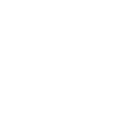 Billie Jean King Cup - The World Cup of Tennis Qualifiers logo