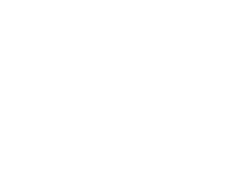 Brave in the Attempt logo