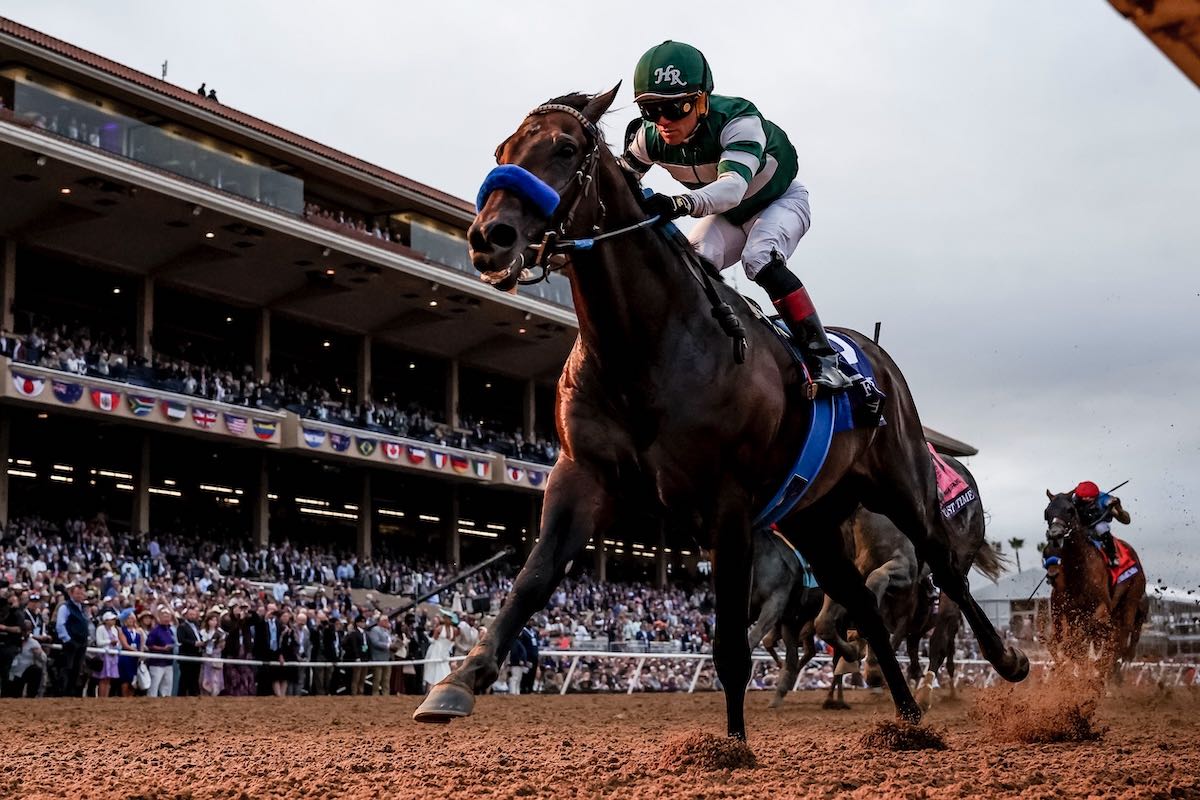 Grand National 2025 & Dubai World Cup 2025 poster